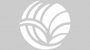 Bauer Willis & Associates