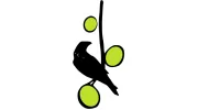 Black Bird Bookkeeping