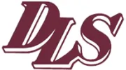 Donna L. Stern CPA