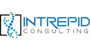 Intrepid Consulting