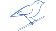 Bluebird Accounting