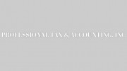 Professional Tax & Accounting